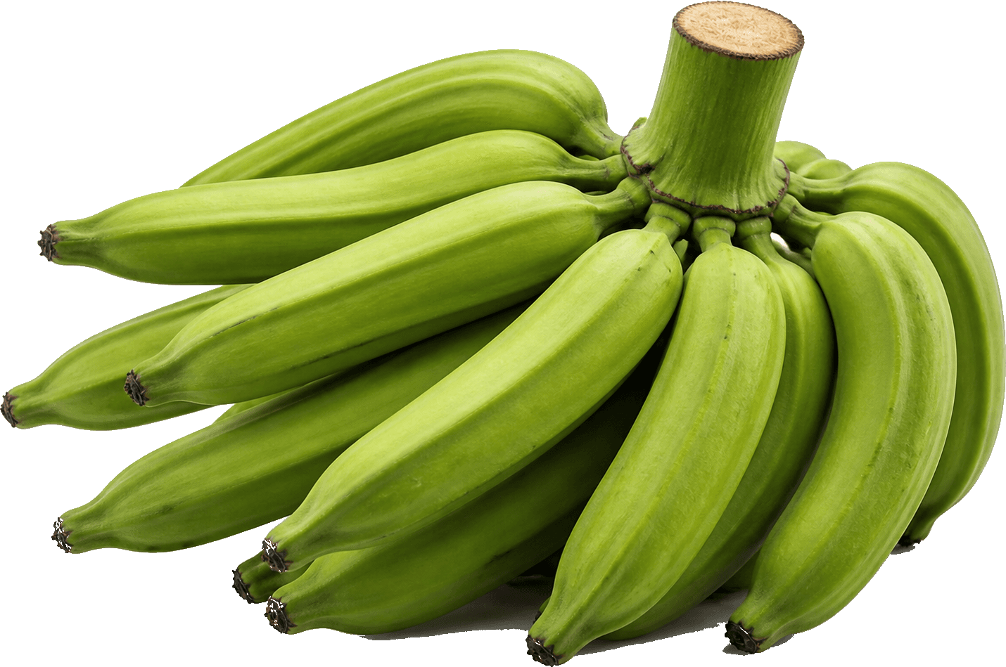Raw green Nendran plantain bunch