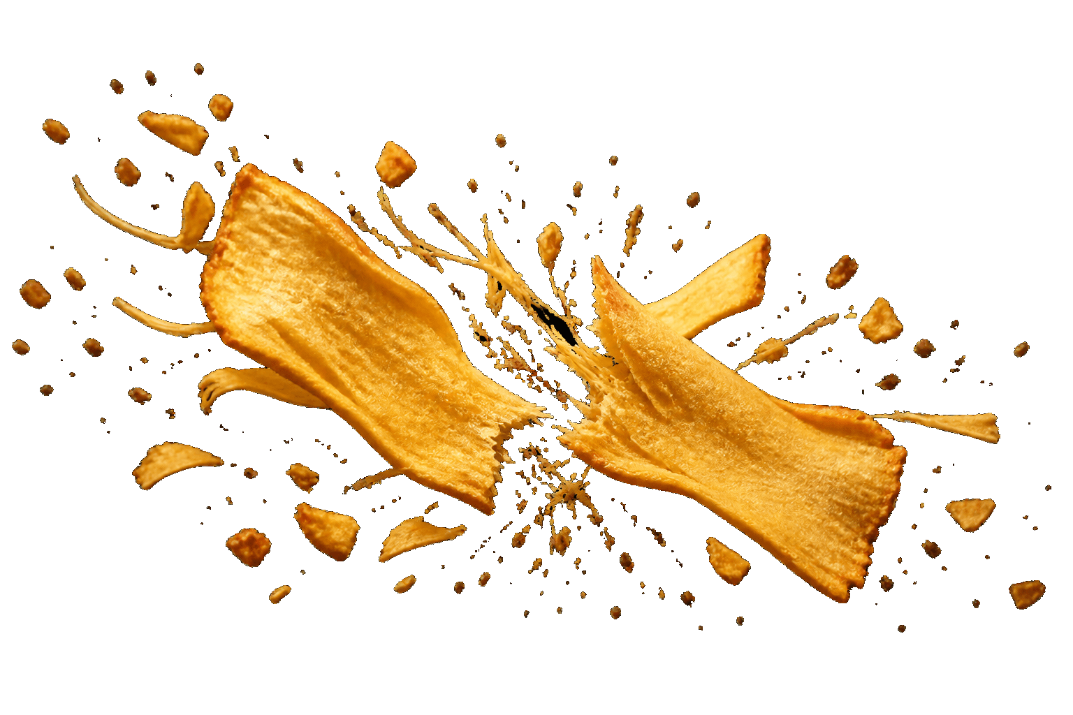 A crisp jackfruit chip snapping apart with golden crumbs