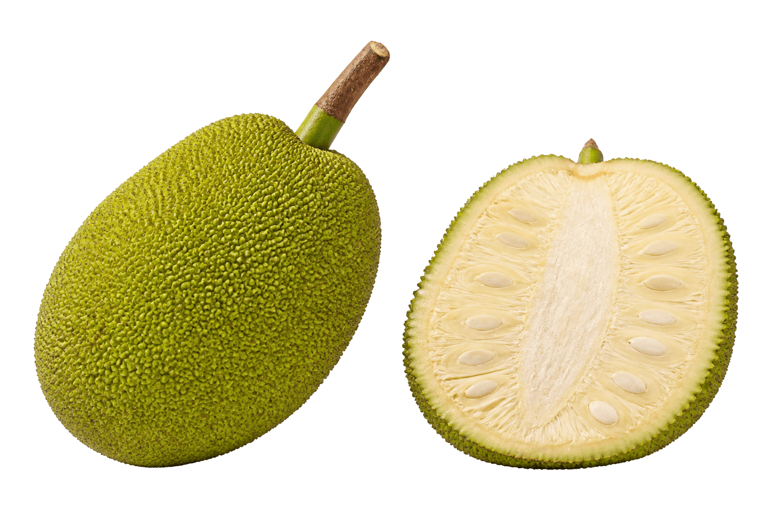 Whole and cut mature green jackfruit